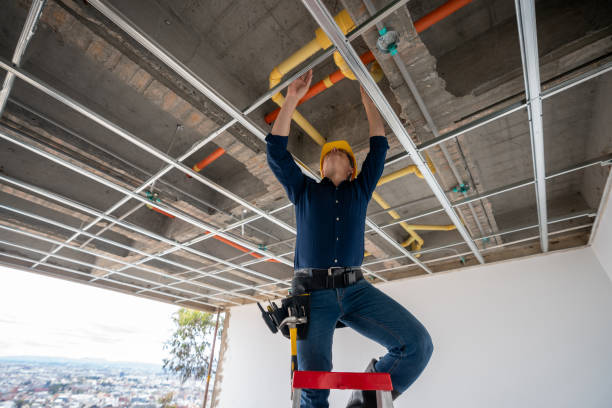 Best Residential Plumbing Services  in Bono, AR